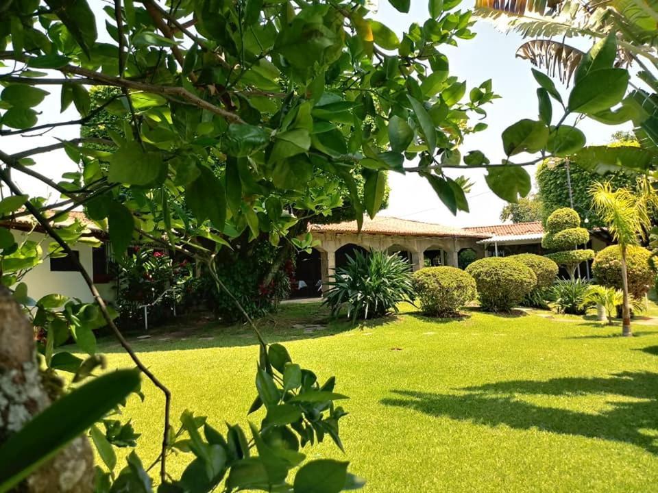 Hotel Alamo Internacional San Salvador Exteriér fotografie
