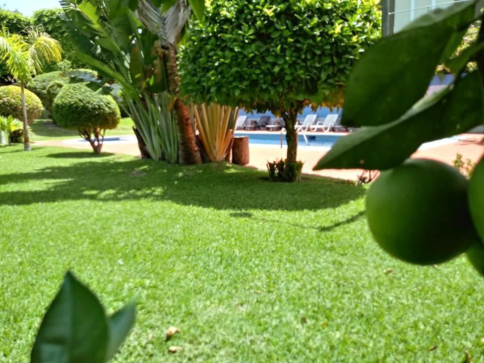 Hotel Alamo Internacional San Salvador Exteriér fotografie