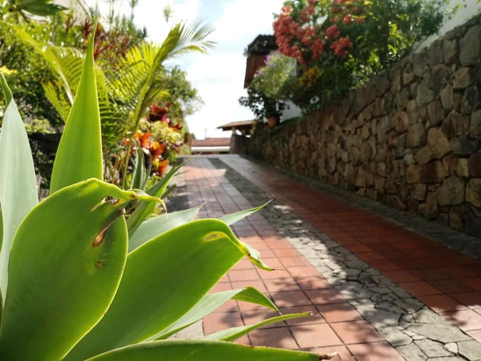 Hotel Alamo Internacional San Salvador Exteriér fotografie